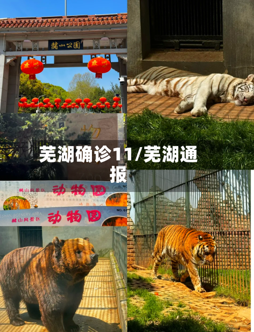 芜湖确诊11/芜湖通报
