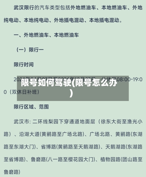 限号如何驾驶(限号怎么办)