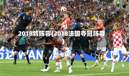 2018鸩阵容(2018法国夺冠阵容)