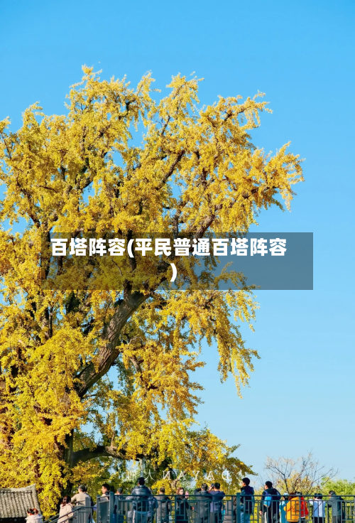 百塔阵容(平民普通百塔阵容)-第2张图片