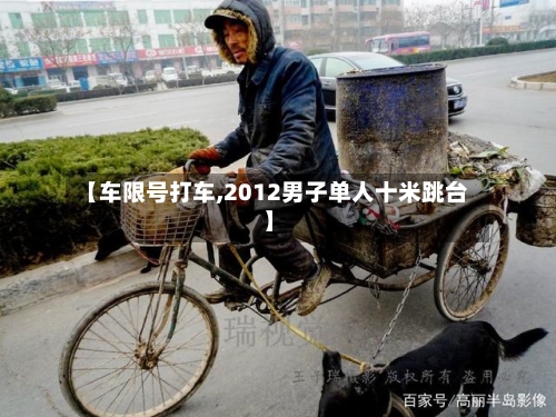 【车限号打车,2012男子单人十米跳台】-第3张图片
