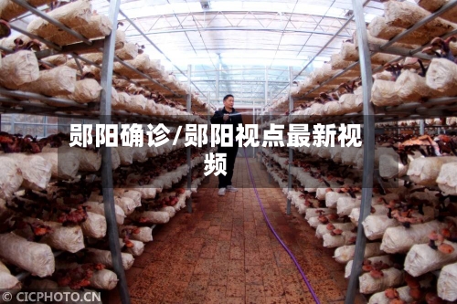 郧阳确诊/郧阳视点最新视频-第2张图片