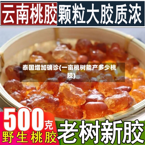 泰国增加确诊(一亩桃树能产多少桃胶)