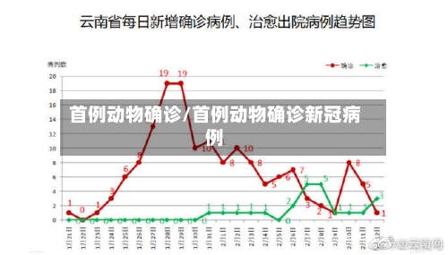 首例动物确诊/首例动物确诊新冠病例-第2张图片