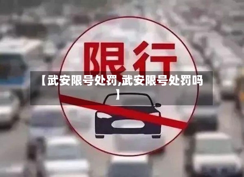 【武安限号处罚,武安限号处罚吗】-第2张图片