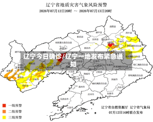 辽宁今日确诊/辽宁一地发布紧急通知-第2张图片