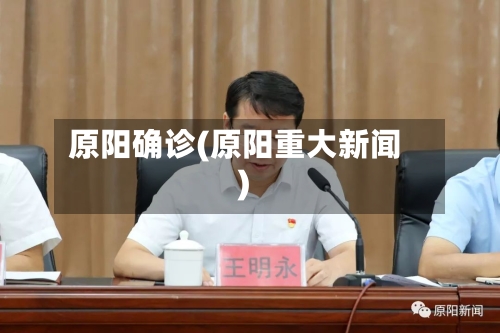 原阳确诊(原阳重大新闻)-第3张图片