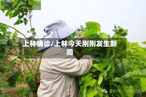 上林确诊/上林今天刚刚发生新闻-第3张图片
