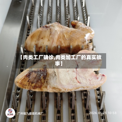 【肉类工厂确诊,肉类加工厂的真实故事】-第2张图片