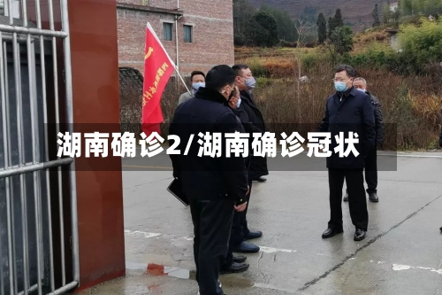 湖南确诊2/湖南确诊冠状-第2张图片