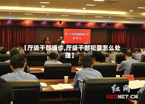 【厅级干部确诊,厅级干部犯罪怎么处理】-第2张图片