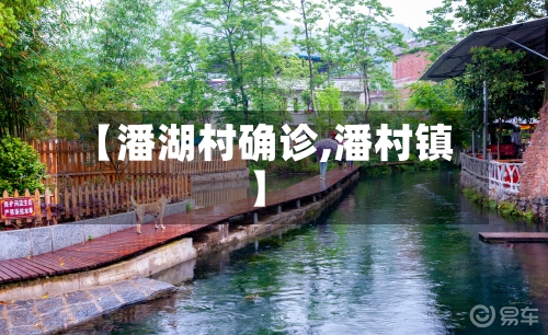 【潘湖村确诊,潘村镇】
