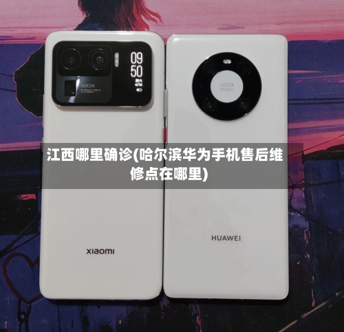 江西哪里确诊(哈尔滨华为手机售后维修点在哪里)-第2张图片