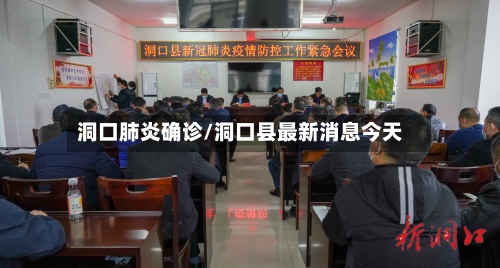 洞口肺炎确诊/洞口县最新消息今天