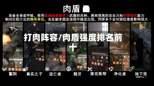 打肉阵容/肉盾强度排名前十-第2张图片