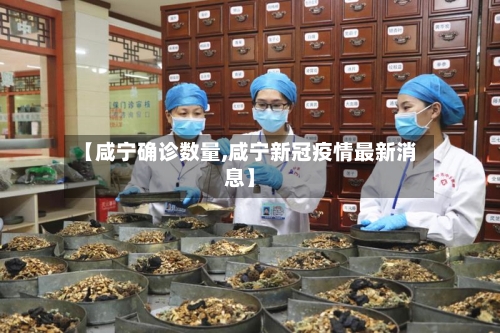 【咸宁确诊数量,咸宁新冠疫情最新消息】-第2张图片