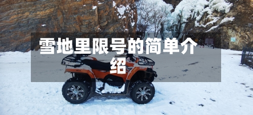 雪地里限号的简单介绍-第2张图片