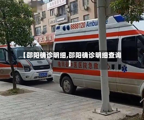 【邵阳确诊明细,邵阳确诊明细查询】-第2张图片
