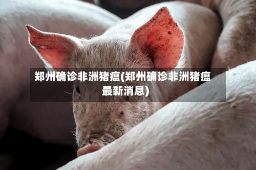 郑州确诊非洲猪瘟(郑州确诊非洲猪瘟最新消息)-第2张图片