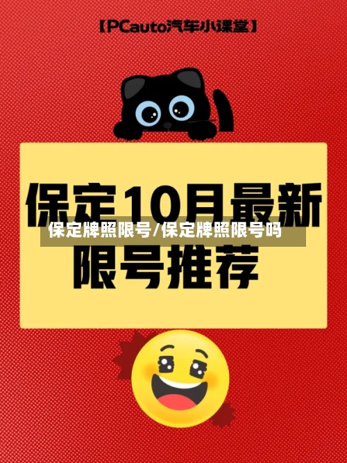 保定牌照限号/保定牌照限号吗-第3张图片